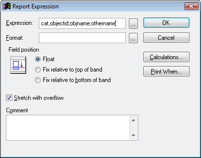 image of the Report Expression screen