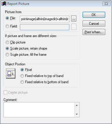 Image of the Report Picture screen