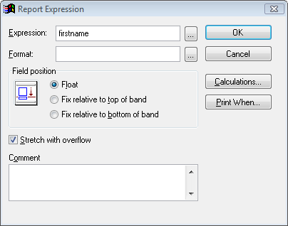 image of the Report Expression screen