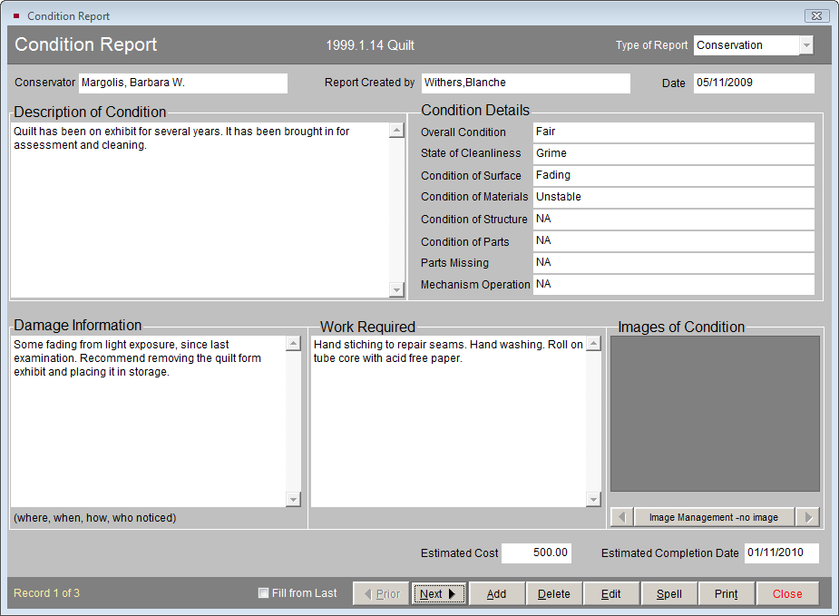 Screenshot of a sample Detailed Condition Report