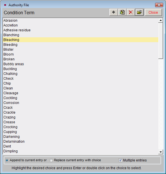 Condition terms authority file screenshot.